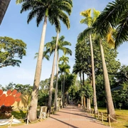 BioParque do Rio Tour Guiado