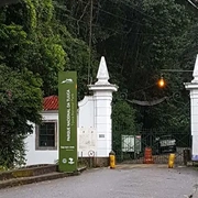 Floresta da Tijuca Tour Guiado