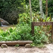 Floresta da Tijuca Tour Guiado
