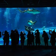 AquaRio + Boulevard Olímpico