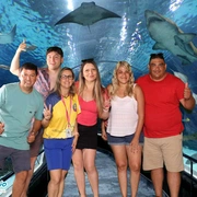 AquaRio + Boulevard Olímpico