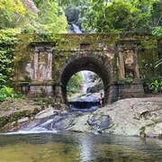 Floresta da Tijuca Tour Guiado