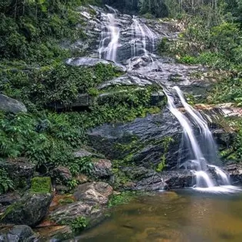 Floresta da Tijuca Tour Guiado
