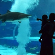 AquaRio + Boulevard Olímpico