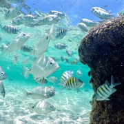 Angra dos Reis Tour Completo