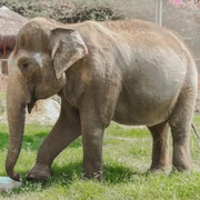 BioParque do Rio Tour Guiado