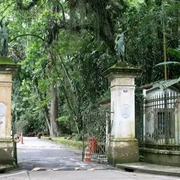 Floresta da Tijuca Tour Guiado