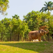 BioParque do Rio Tour Guiado