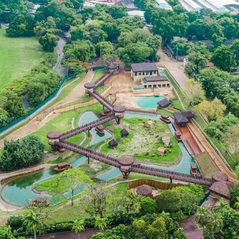 BioParque do Rio Tour Guiado