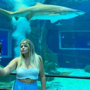AquaRio + Boulevard Olímpico